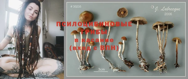 мяу мяу мука Карпинск