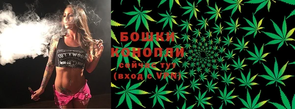 спайс Касимов