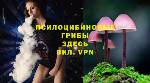 спайс Касимов