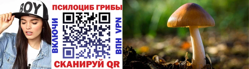 Псилоцибиновые грибы GOLDEN TEACHER  Купить  Кыштым 